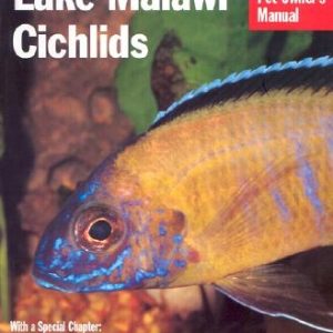 Lake Malawi Cichlids