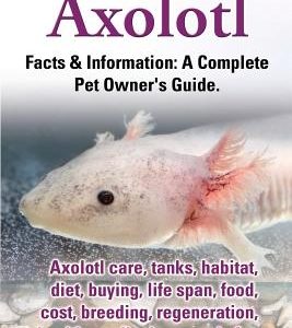 Axolotl. Axolotl Care, Tanks, Habitat, Diet, Buying, Life Span, Food, Cost, Breeding, Regeneration, Health, Medical Research, Fun Facts, and More All