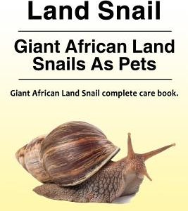 Giant African Land Snail. Giant African Land Snails as pets. Giant African Land Snail complete care book.