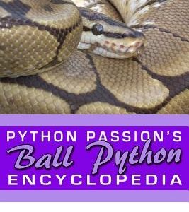 Python Passion's Ball Python Encyclopedia