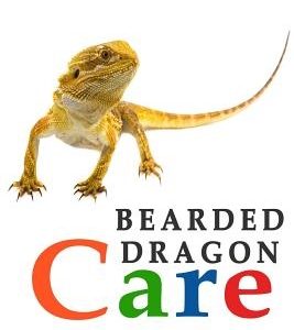 Bearded Dragons: The Essential Guide to Ownership & Care for Your Pet