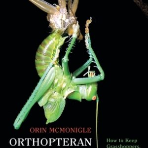 Orthopteran Zoology: How to Keep Grasshoppers, Crickets, and Katydids