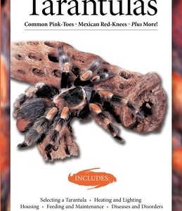 Tarantulas (Advanced Vivarium Systems)
