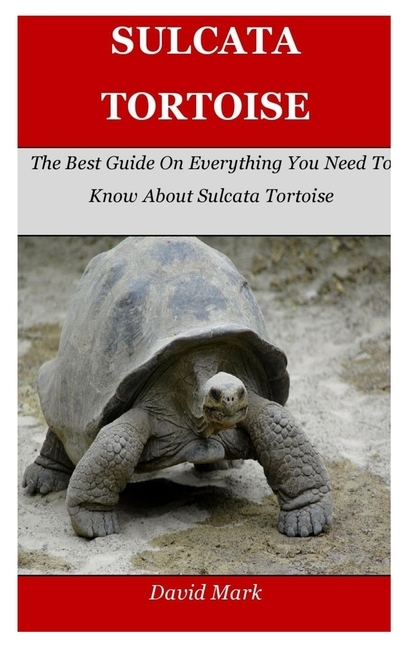 Sulcata Tortoise: The Best Guide On Everything You Need To Know About Sulcata Tortoise