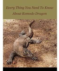 Komodo Dragon: Every Thing You Need To Know About Komodo Dragon