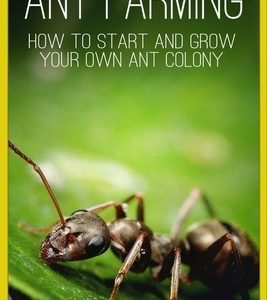 Ant Farming: How to Start and Grow Your Own Ant Colony