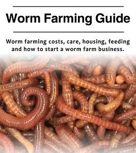 Worm Farm. Worm Farm Guide. Worm farm costs, care, housing, feeding and how to start a worm farm business.