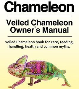 Veiled Chameleon . Veiled Chameleon Owner's Manual. Veiled Chameleon book for care, feeding, handling, health and common myths.