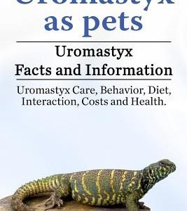 Uromastyx as pets. Uromastyx Facts and Information. Uromastyx Care, Behavior, Diet, Interaction, Costs and Health.