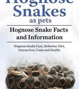 Hognose Snakes as pets. Hognose Snake Facts and Information. Hognose Snake Care, Behavior, Diet, Interaction, Costs and Health.