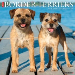 Just Border Terriers 2023 Wall Calendar