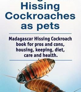 Madagascar Hissing Cockroaches as Pets. Madagascar Hissing Cockroach Book for Pros and Cons, Housing, Keeping, Diet, Care and Health.
