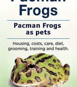 Pacman frogs. Pacman frogs as pets. Housing, costs, care, diet, grooming, training and health.