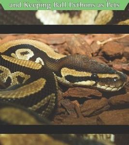 Ball Python Care: The Complete Guide to Caring for and Keeping Ball Pythons as Pets