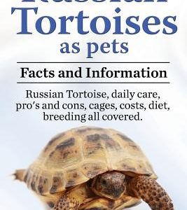 Russian Tortoises as Pets. Russian Tortoise: Facts and Information. Daily Care, Pro's and Cons, Cages, Costs, Diet, Breeding All Covered