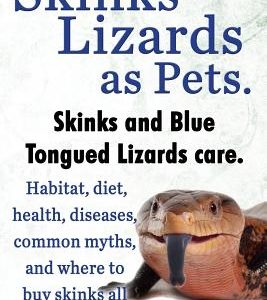 Skinks Lizards as Pets. Blue Tongued Skinks and Other Skinks Care. Habitat, Diet, Common Myths, Diseases and Where to Buy Skinks All Included