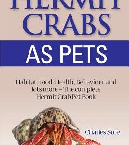 Hermit Crab Care