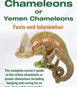 Veiled Chameleons or Yemen Chameleons Complete Owner's Guide Including Facts and Information on Caring for as Pets, Breeding, Diet, Food, Vivarium Set