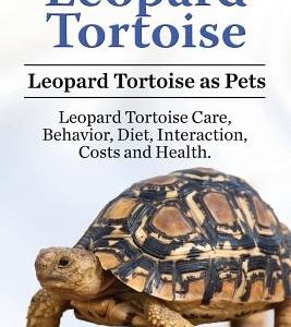 Leopard Tortoise. Leopard Tortoise as Pets. Leopard Tortoise Care, Behavior, Diet, Interaction, Costs and Health.