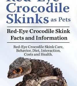 Red Eye Crocodile Skinks as pets. Red Eye Crocodile Skink Facts and Information. Red-Eye Crocodile Skink Care, Behavior, Diet, Interaction, Costs and