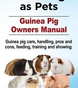 Guinea Pigs as Pets. Guinea Pig Owners Manual. Guinea pig care, handling, pros and cons, feeding, training and showing.