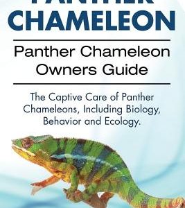 Panther Chameleon. Panther Chameleon Owners Guide. The Captive Care of Panther Chameleons, Including Biology, Behavior and Ecology.