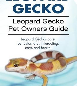 Leopard Gecko. Leopard Gecko Pet Owners Guide. Leopard Geckos Care, Behavior, Diet, Interacting, Costs and Health.