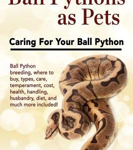 Ball Pythons as Pets: Ball Python breeding, where to buy, types, care, temperament, cost, health, handling, husbandry, diet, and much more i