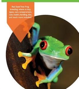 Red Eyed Tree Frogs as Pets: Red Eyed Tree Frog breeding, where to buy, types, care, temperament, cost, health, handling, diet, and much more inclu