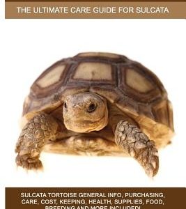 Sulcata Tortoise as Pets: Sulcata Tortoise General Info, Purchasing, Care, Cost, Keeping, Health, Supplies, Food, Breeding and More Included! Th