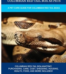 Columbian Red Tail Boa as Pets: A Pet Care Guide for Columbian Red Tail Boas