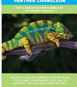 Panther Chameleon: The Ultimate Panther Chameleon Pet Owner's Manual