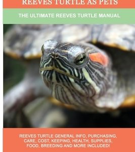 Reeves Turtle as Pets: The Ultimate Reeves Turtle Manual