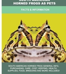 South American Horned Frogs as Pets: Facts & Information