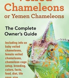 Veiled Chameleons or Yemen Chameleons as pets. info on baby veiled chameleons, female veiled chameleons, chameleon cage setup, breeding, colors, facts
