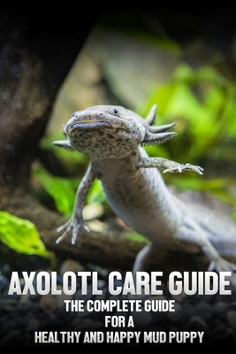 Axolotl care guide: The complete guide for a healthy and happy mud puppy