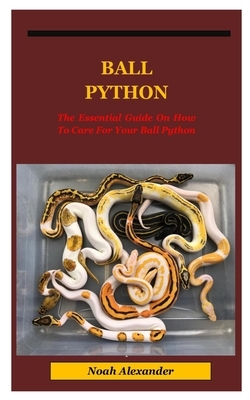 Ball Python: The Essential Guide On How To Care For Your Ball Python.