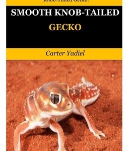 Smooth Knob-Tailed Gecko: Everything You Need To Know About Smooth Knob-Tailed Gecko.