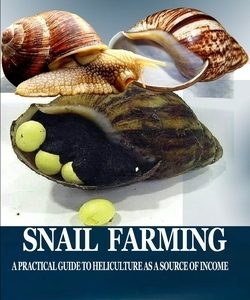 Snail Farming: A Practical Guide to Heliculture as a Source of Income
