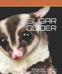 Sugar Glider: Step By Step Guide On Everything You Need To Know About Sugar Gliders