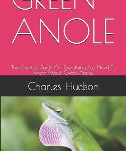 Green Anole: The Essential Guide On Everything You Need To Know About Green Anole.