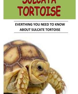 Sulcata Tortoise: Everything You Need To Know About Sulcata Tortoise