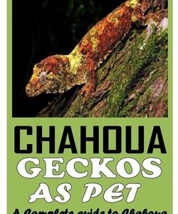 Chahoua Geckos as Pet: A Complete Guide to Chahoua Geckos as Pet