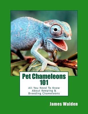 Pet Chameleons 101: All You Need To Know About Keeping & Breeding Chameleons