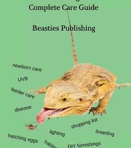 Bearded Dragons: Complete Care Guide