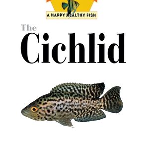 The Cichlids: An Owner's Guide to a Happy Healthy Fish