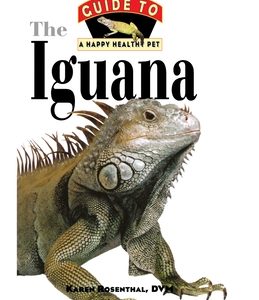 Iguana: An Owner's Guide to a Happy Healthy Pet