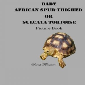 Baby African Spur-Thighed or Sulcata Tortoise Picture Book