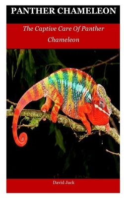 Panther Chameleon: The Captive Care Of Panther Chameleon