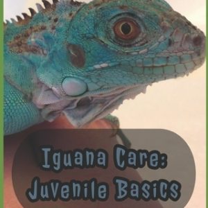 Iguana Care: Juvenile Basics
